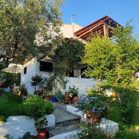 Sonia'S House With Garden Βίλα Γερακινή Εξωτερικό φωτογραφία