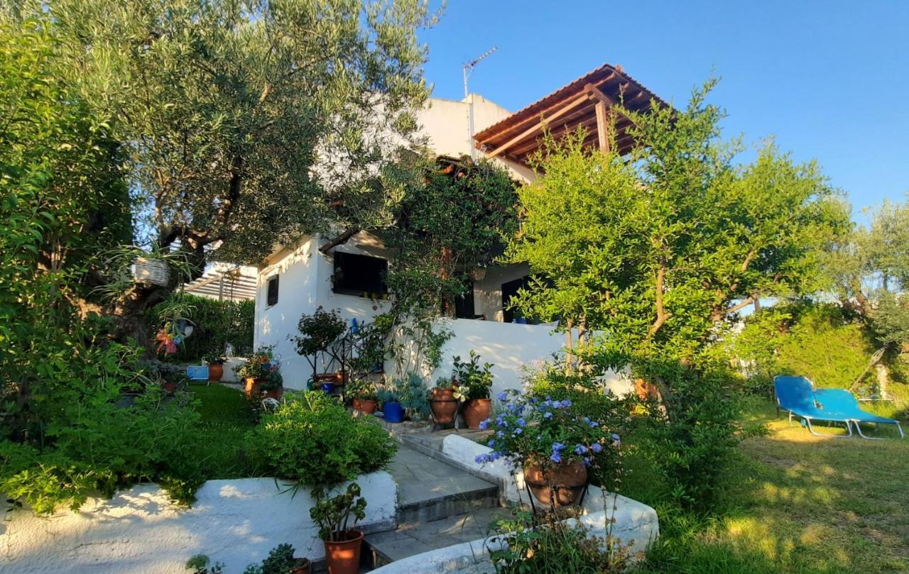 Sonia'S House With Garden Βίλα Γερακινή Εξωτερικό φωτογραφία