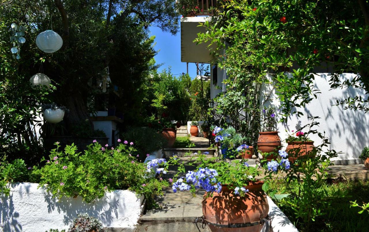 Sonia'S House With Garden Βίλα Γερακινή Εξωτερικό φωτογραφία